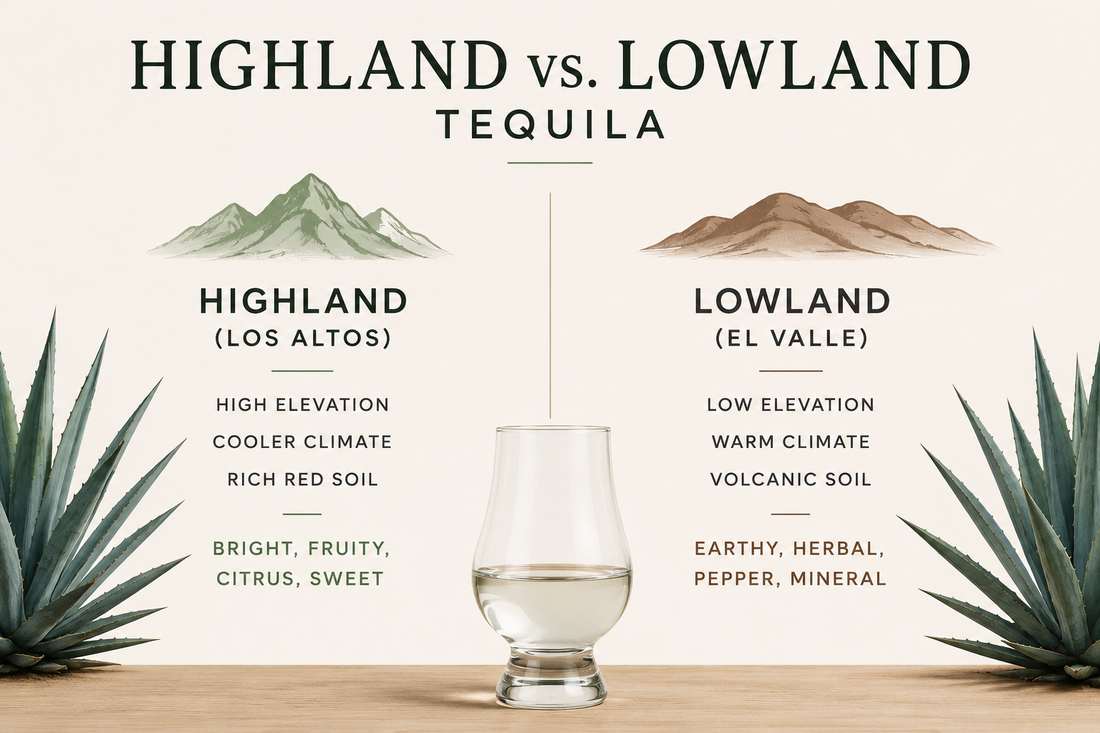 Highland vs. Lowland Tequila: What's the Difference?