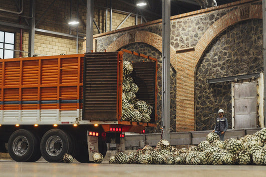 Dama Fortuna Tequila: Pure, Traditional, and Uncompromisingly Single Estate